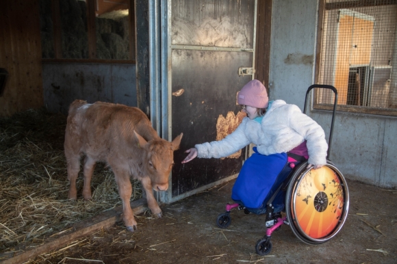 Kind in Rollstuhl auf Bauernhof