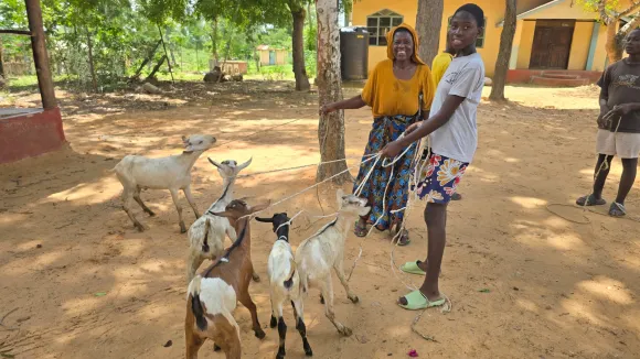 Übergabe von Milchziegen an bedürftige Familien