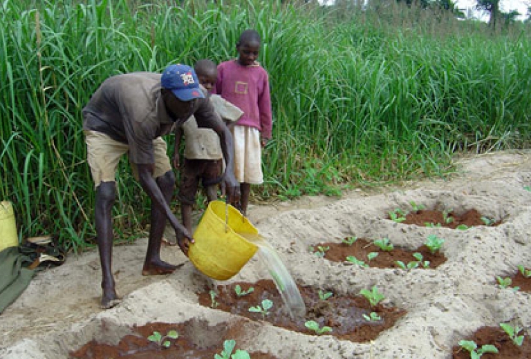 Wasserpumpen sorgen für sauberes Wasser in Afrika, Kinder holten Wasser mit Kanistern