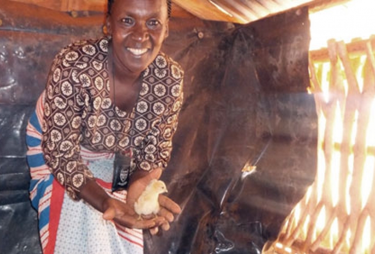 Eine Frau hält ihre eigenen Hühner in Afrika